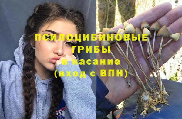 ALPHA-PVP Верхний Тагил