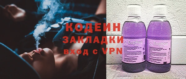 мдпв Богородицк