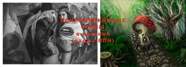 ALPHA-PVP Верхний Тагил